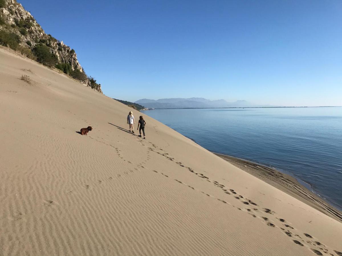 Beachfront, Tirana Guest House Velipojë Zewnętrze zdjęcie