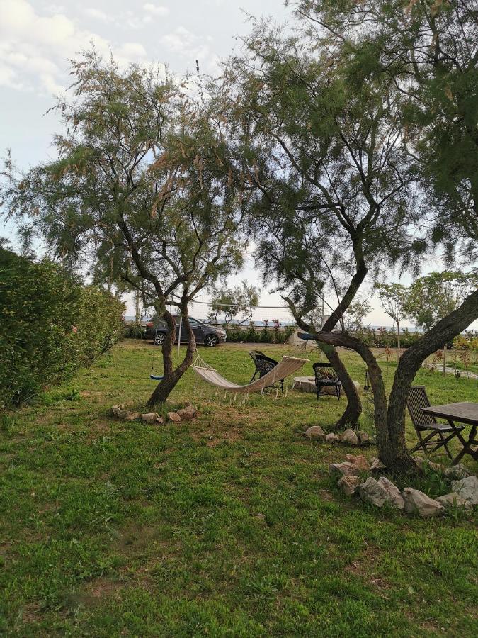 Beachfront, Tirana Guest House Velipojë Zewnętrze zdjęcie
